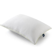 ALMOHADA ALOEVERA (50 x 70)