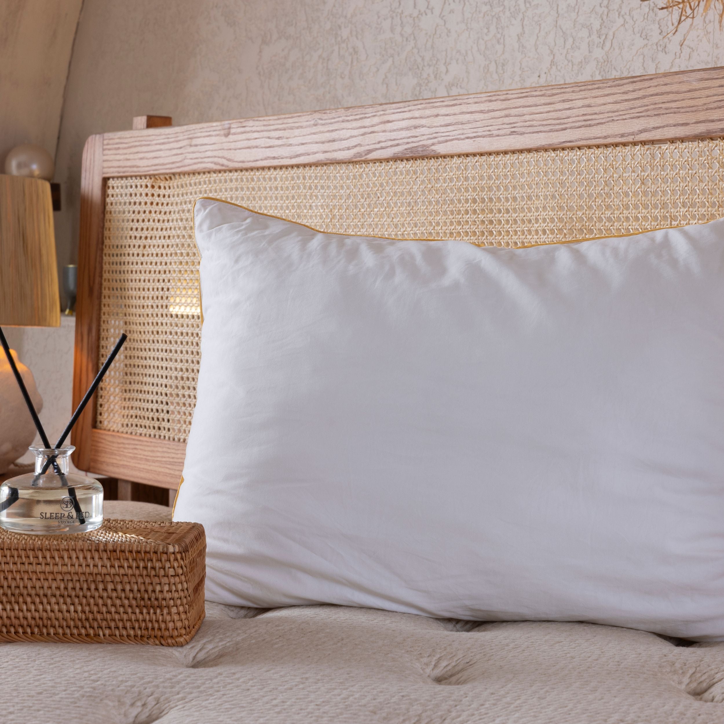 ALMOHADA ALOEVERA (50 x 70)