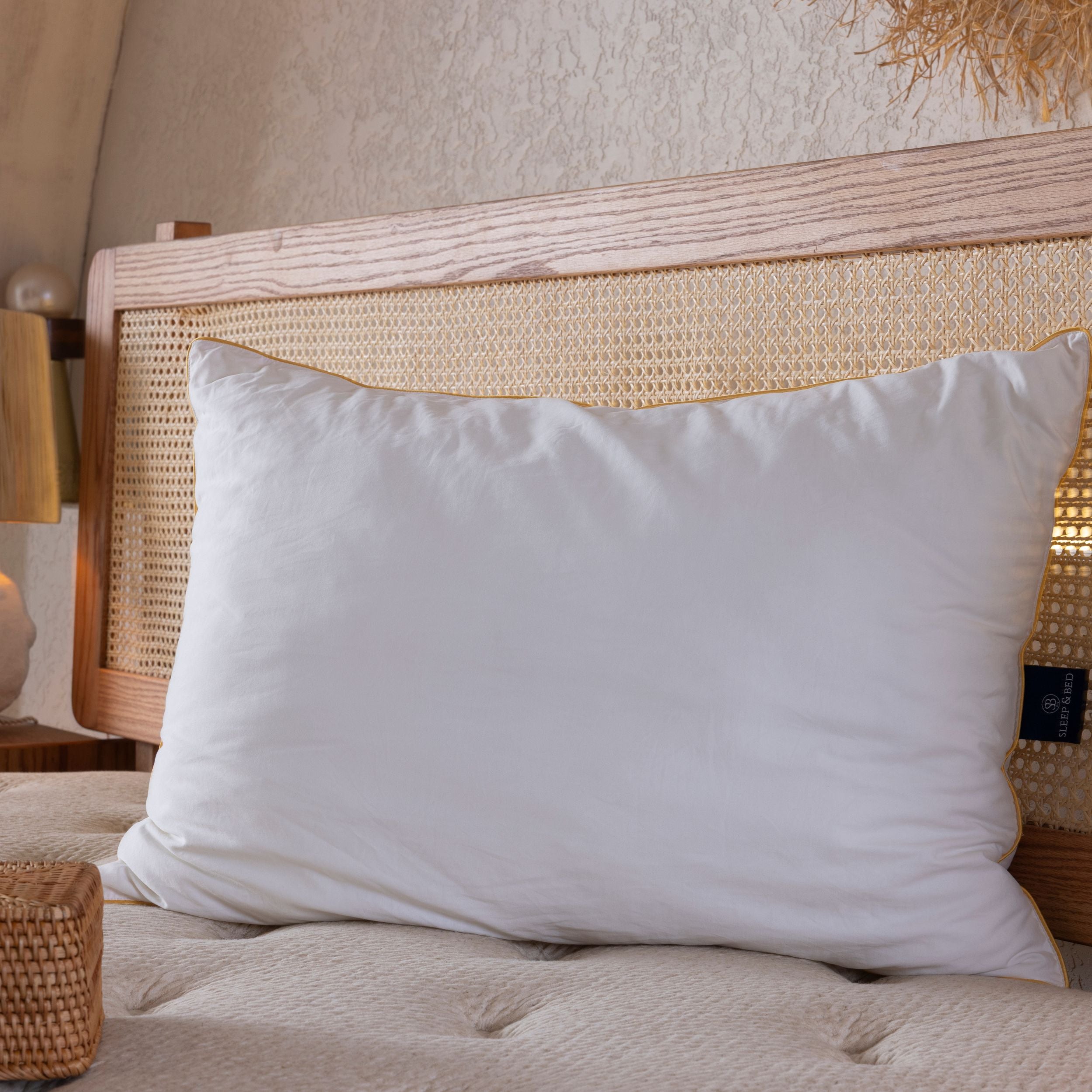 ALMOHADA ALOEVERA (50 x 70)